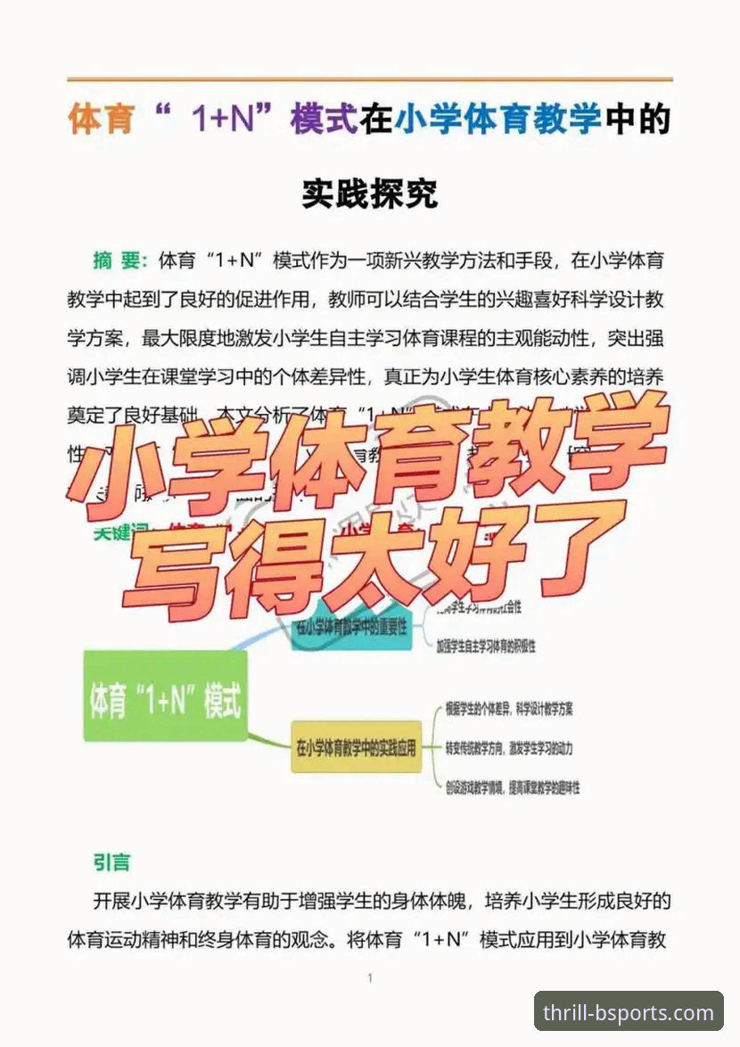 b体育安卓版使用技巧完整指南：从下载到精通